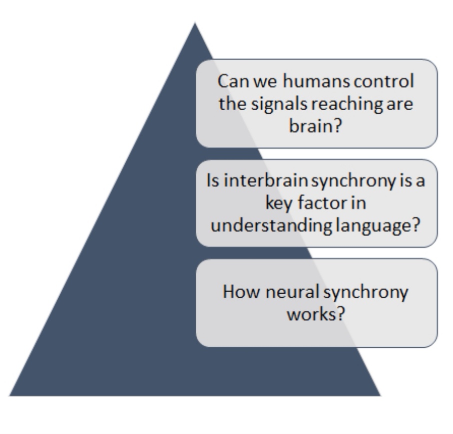 Brain to Brain&nbsp;Synchronization